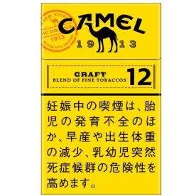 Camel Craft 12mg — Carton (10 × 20 pack)