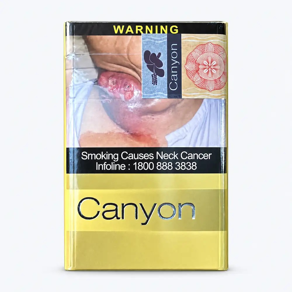 Canyon Light 6mg — Carton (10 × 20 pack)