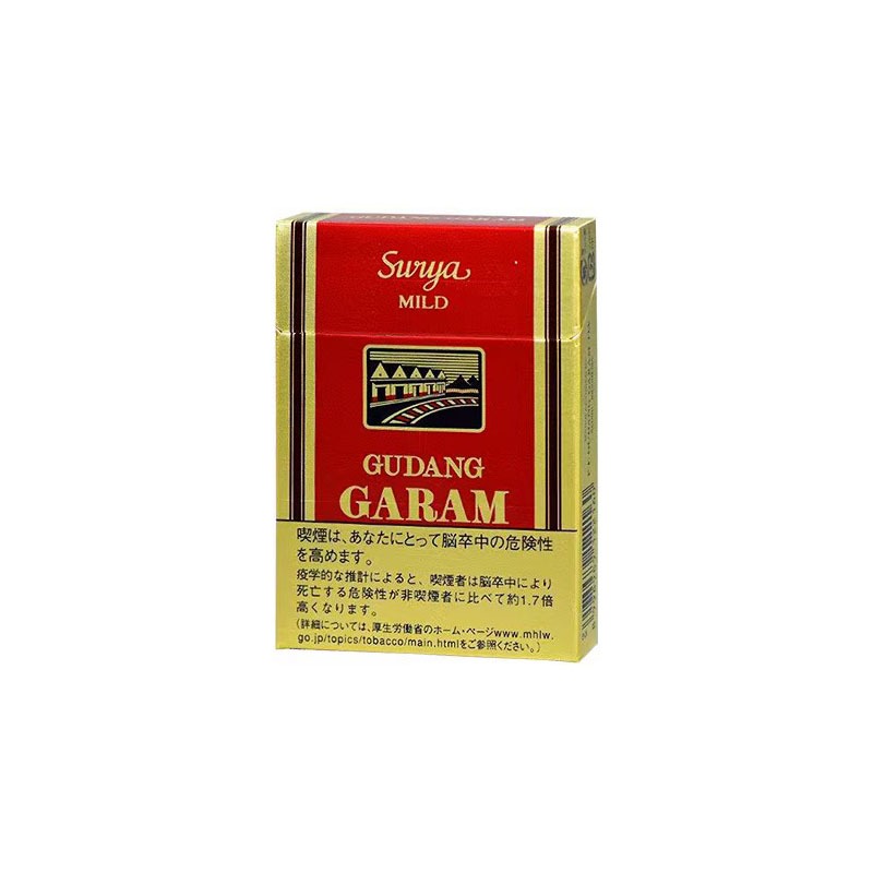 Gudang Garam Surya Mild (Kretek) — Carton (10 × 20 pack)