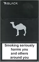 Camel Black (mini) — Carton (10 × 20 pack)