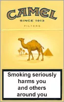 Camel Filters — Carton (10 × 20 pack)