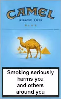 Camel Lights (Blue) — Carton (10 × 20 pack)