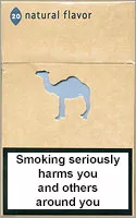 Camel Natural Flavor 6 — Carton (10 × 20 pack)