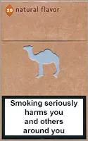 Camel Natural Flavor 8 — Carton (10 × 20 pack)