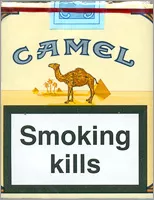 Camel Non Filter — Carton (10 × 20 pack)