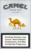 Camel Super Lights (Silver) — Carton (10 × 20 pack)