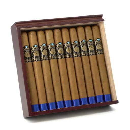 Casa Nicaragua Five B Churchill Cigar — Single
