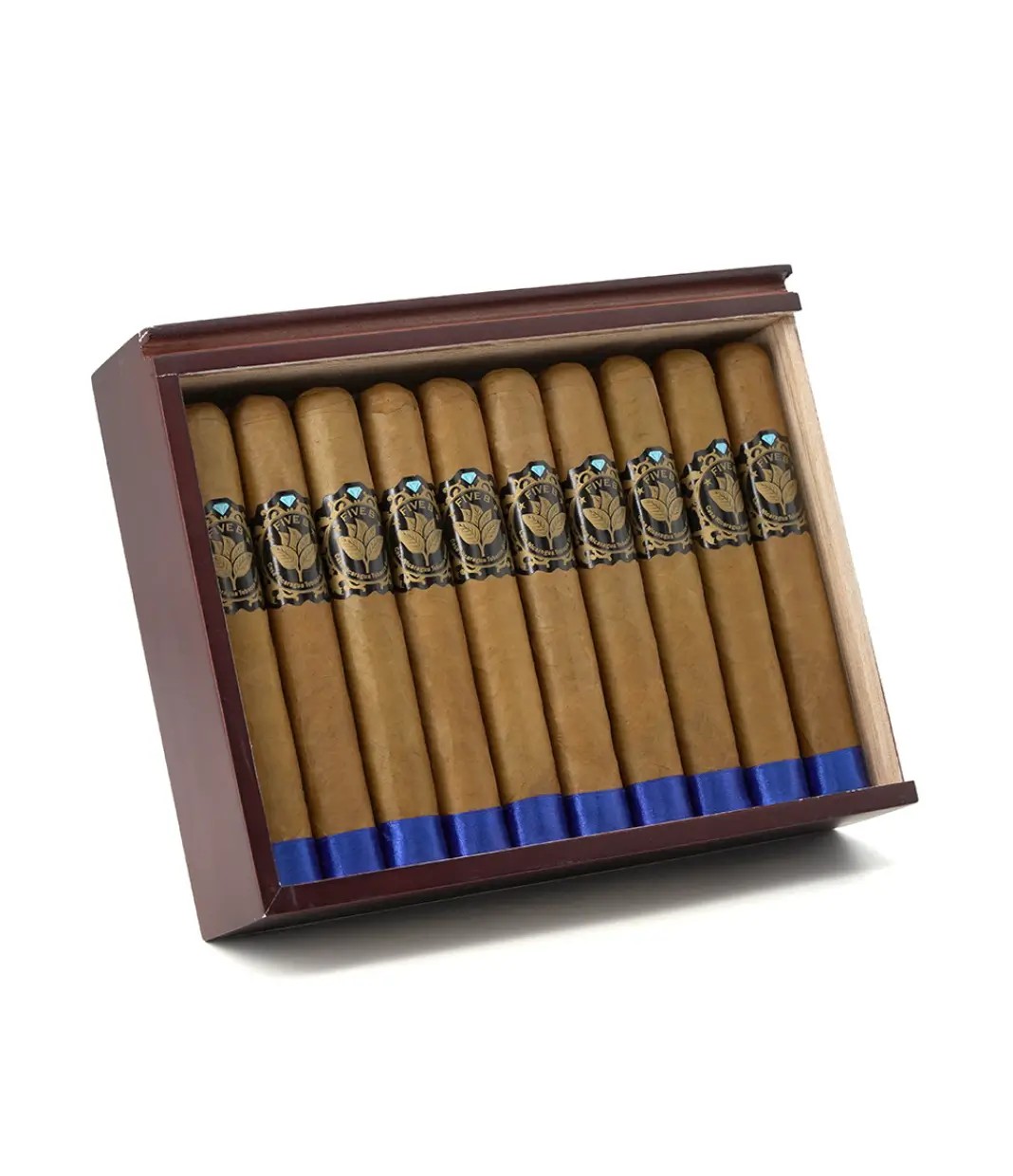 Casa Nicaragua Five B Esplendido Cigar — Single