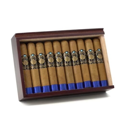 Casa Nicaragua Five B Robusto Extra Cigar — Single