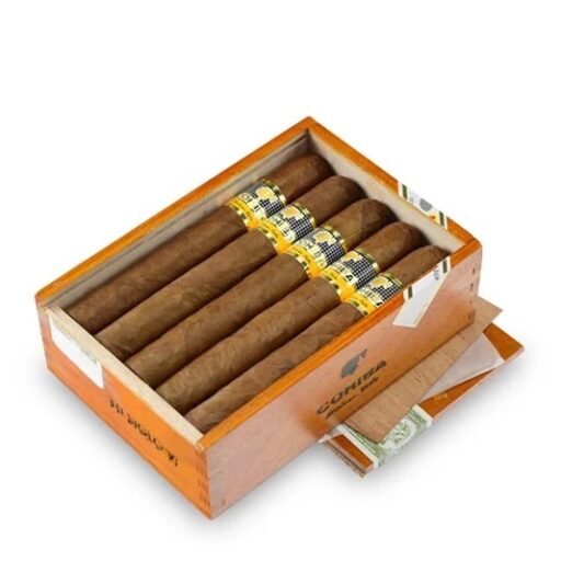 Cohiba Siglo VI Cigar (10 Pack) — Single