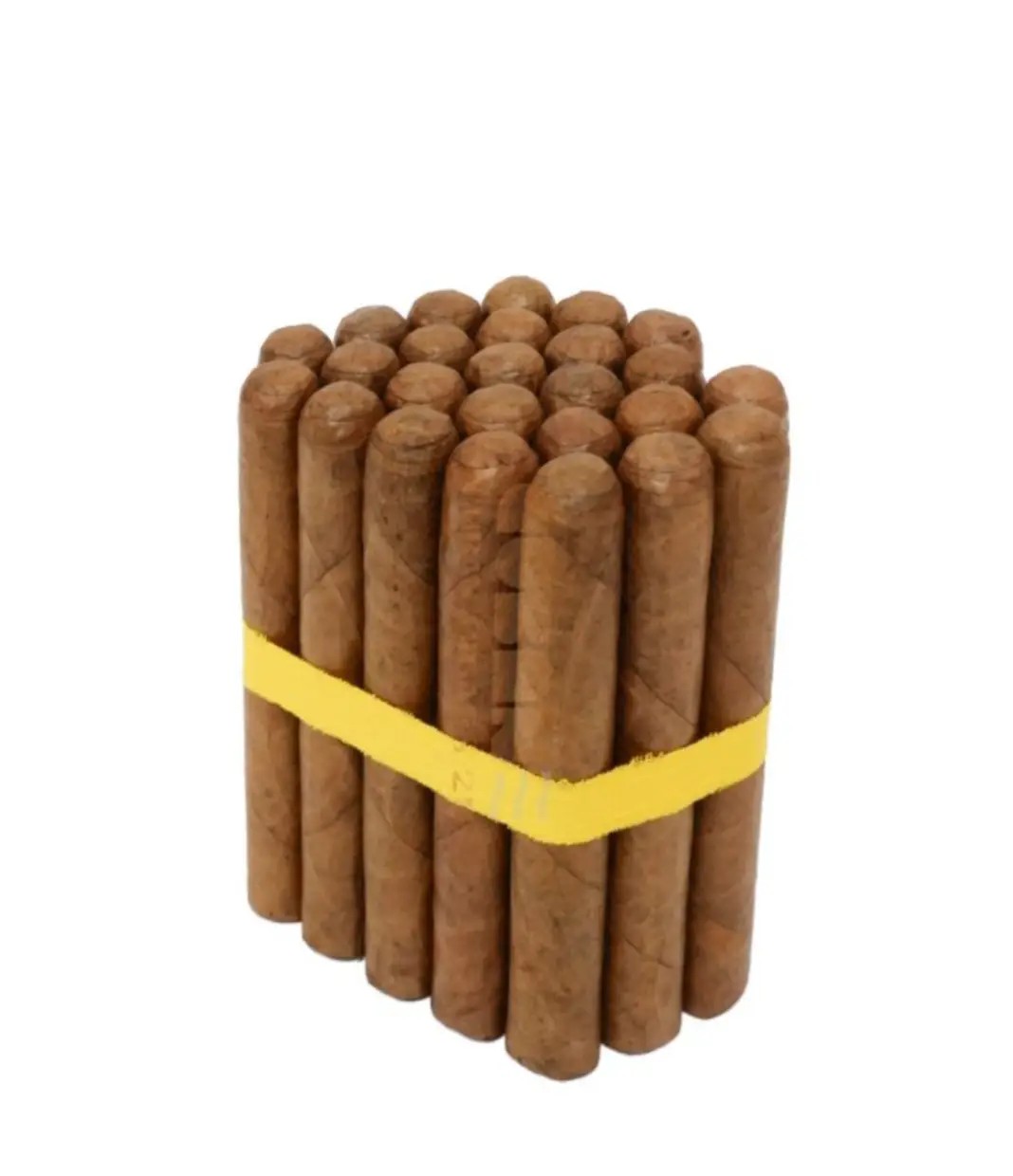 Corona Extra Cigar — Single