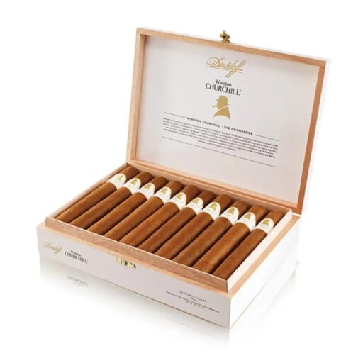 Davidoff Winston Churchill Toro Cigar — Single