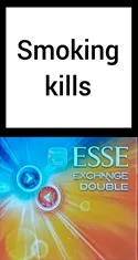 Esse Exchange Double — Carton (10 × 20 pack)