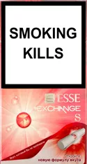 Esse Exchange S — Carton (10 × 20 pack)
