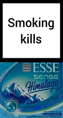 Esse Sense Himalaya — Carton (10 × 20 pack)