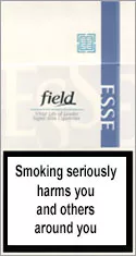 ESSE Super Slims Field 100`s — Carton (10 × 20 pack)