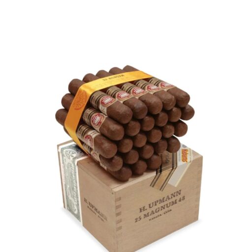H. Upmann Magnum 48 Edicion Limitada 2009 Cigar — Single
