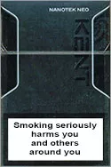 Kent NEO Nanotek (mini) — Carton (10 × 20 pack)