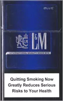 L&M Motion Blue (mini) — Carton (10 × 20 pack)