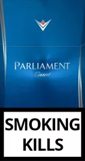 Parliament Carat Topaz — Carton (10 × 20 pack)