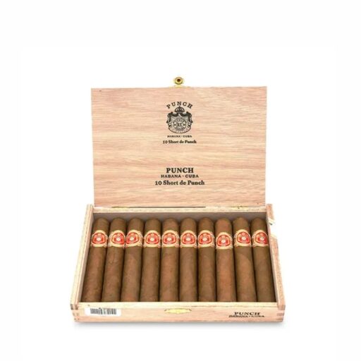 Punch Short de Punch Cigar — Single