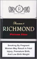 Richmond Platinum Filter — Carton (10 × 20 pack)