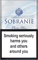 Sobranie Classic Silver — Carton (10 × 20 pack)