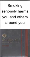 Sobranie Refine Chrome 100's — Carton (10 × 20 pack)