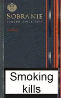 Sobranie Refine Chrome — Carton (10 × 20 pack)