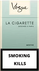 Vogue Super Slims Menthol 100s — Carton (10 × 20 pack)