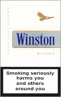 Winston Silver (Super Lights) — Carton (10 × 20 pack)