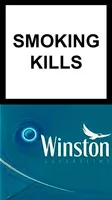 Winston Super Slims Expand Blue — Carton (10 × 20 pack)