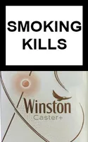 Winston Xstyle Caster — Carton (10 × 20 pack)