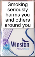 Winston XStyle Dual — Carton (10 × 20 pack)